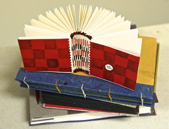 Anna's Coptic Binding 6.jpg