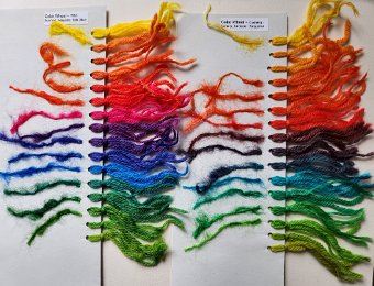 Linda's Rainbow Dyeing 2024 10.jpg