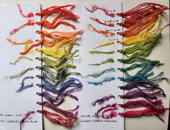 Linda's Rainbow Dyeing 2024 8.jpg