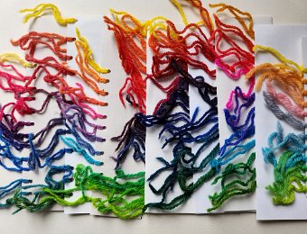Linda's Rainbow Dyeing 2024 9.jpg